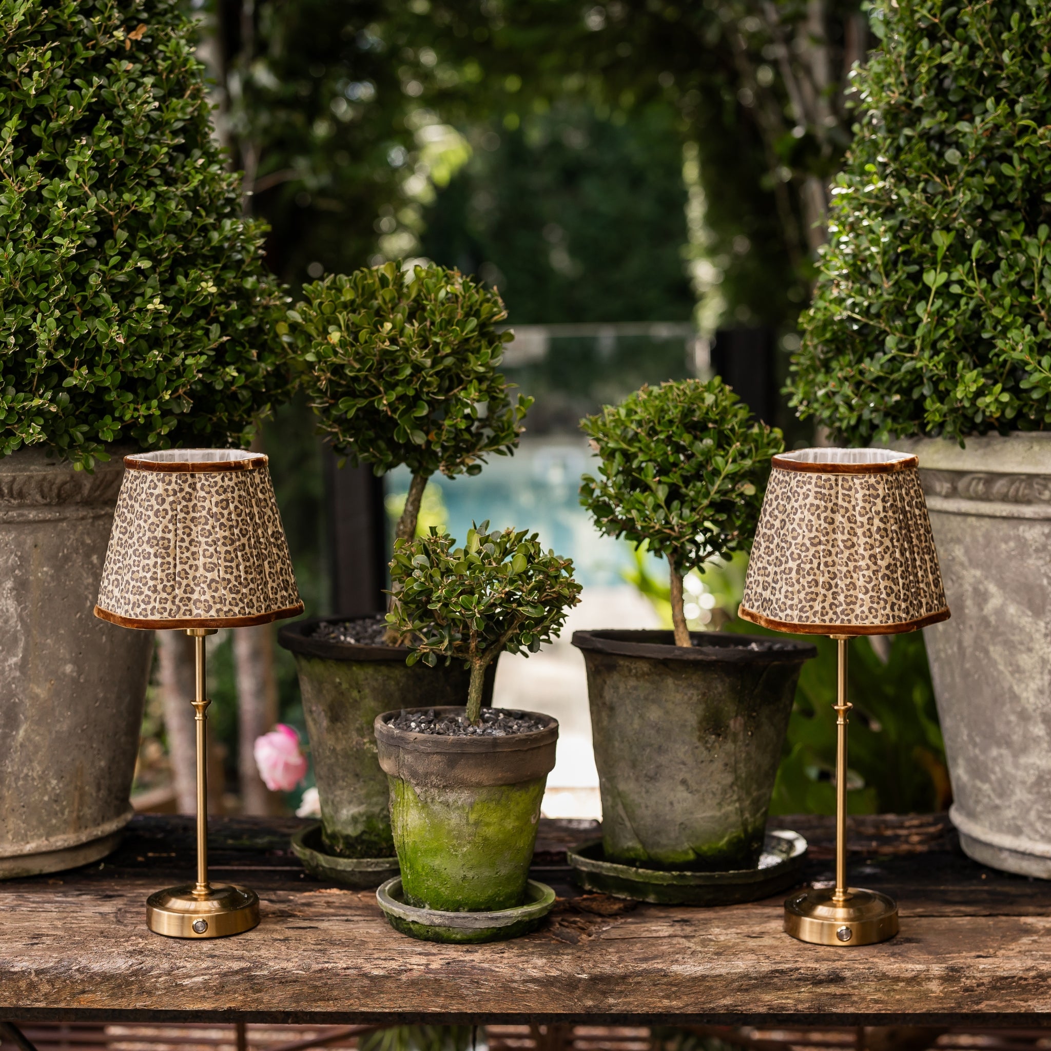 Leopard Scallop Shade & Gold Base - USB Table Lamp - LUXE AND BEAU