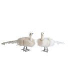 Cleo The Peacock (Pair) - LUXE AND BEAU