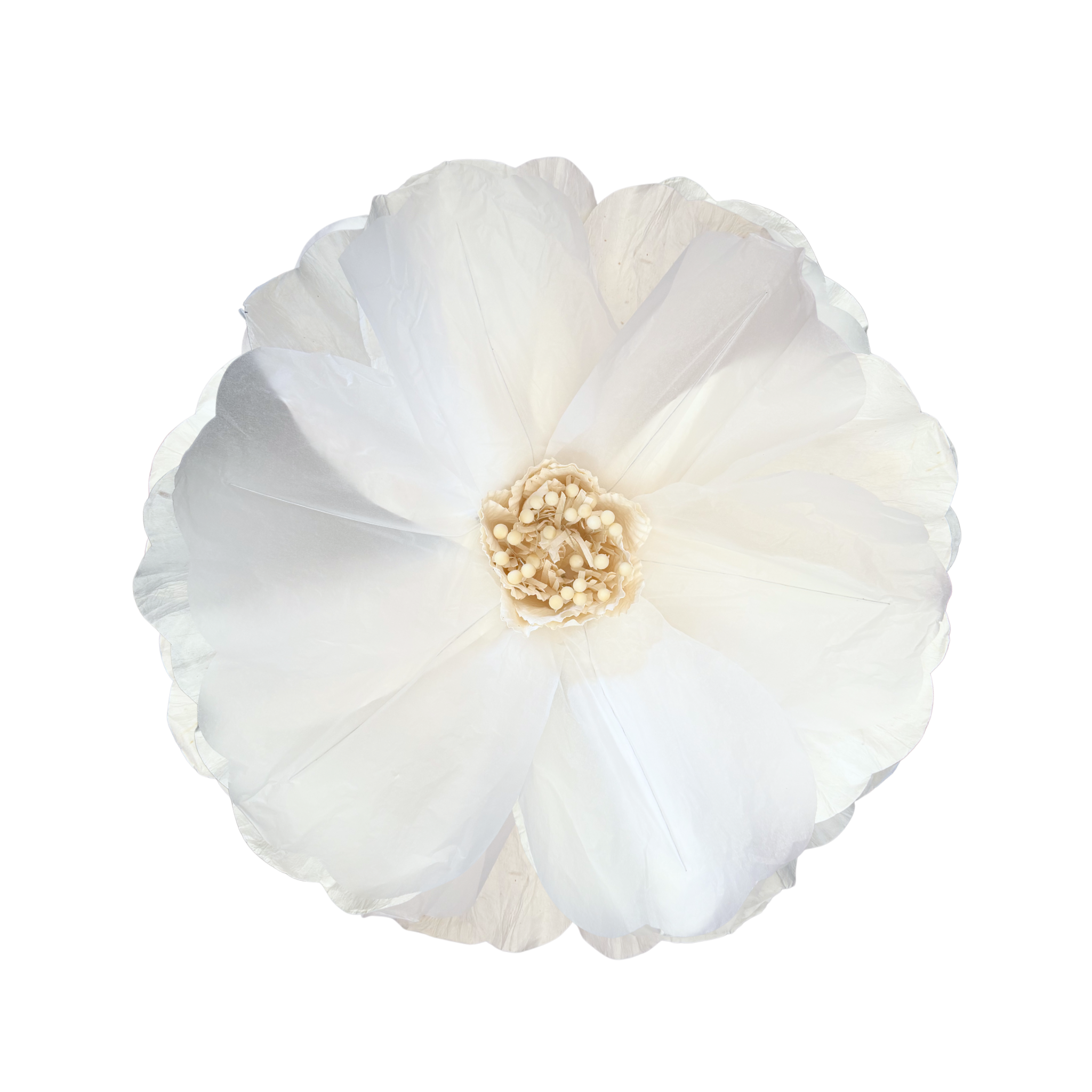 White Moonlight Flower - LUXE AND BEAU