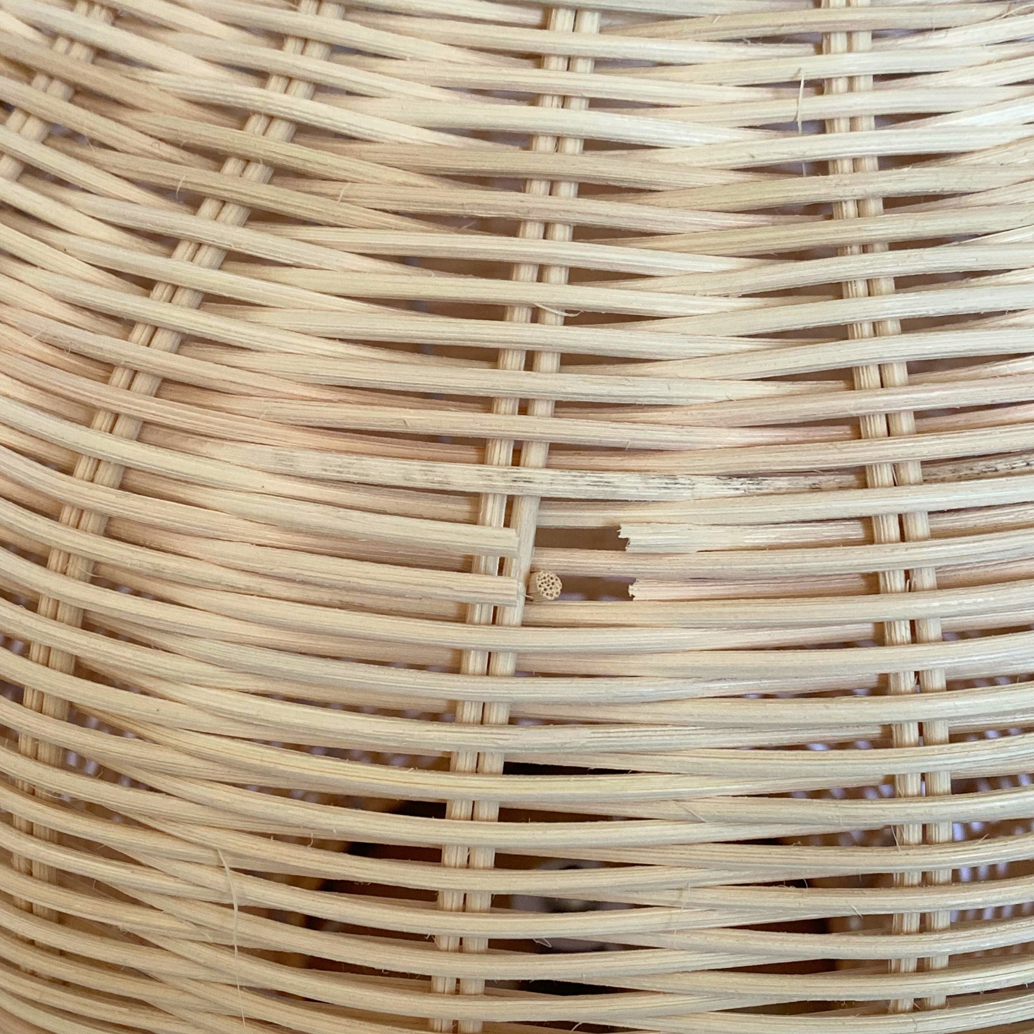 FINAL SALE - Sample Rechargeable Light Paloma Lamp Base (Faulty) - LUXE AND BEAU