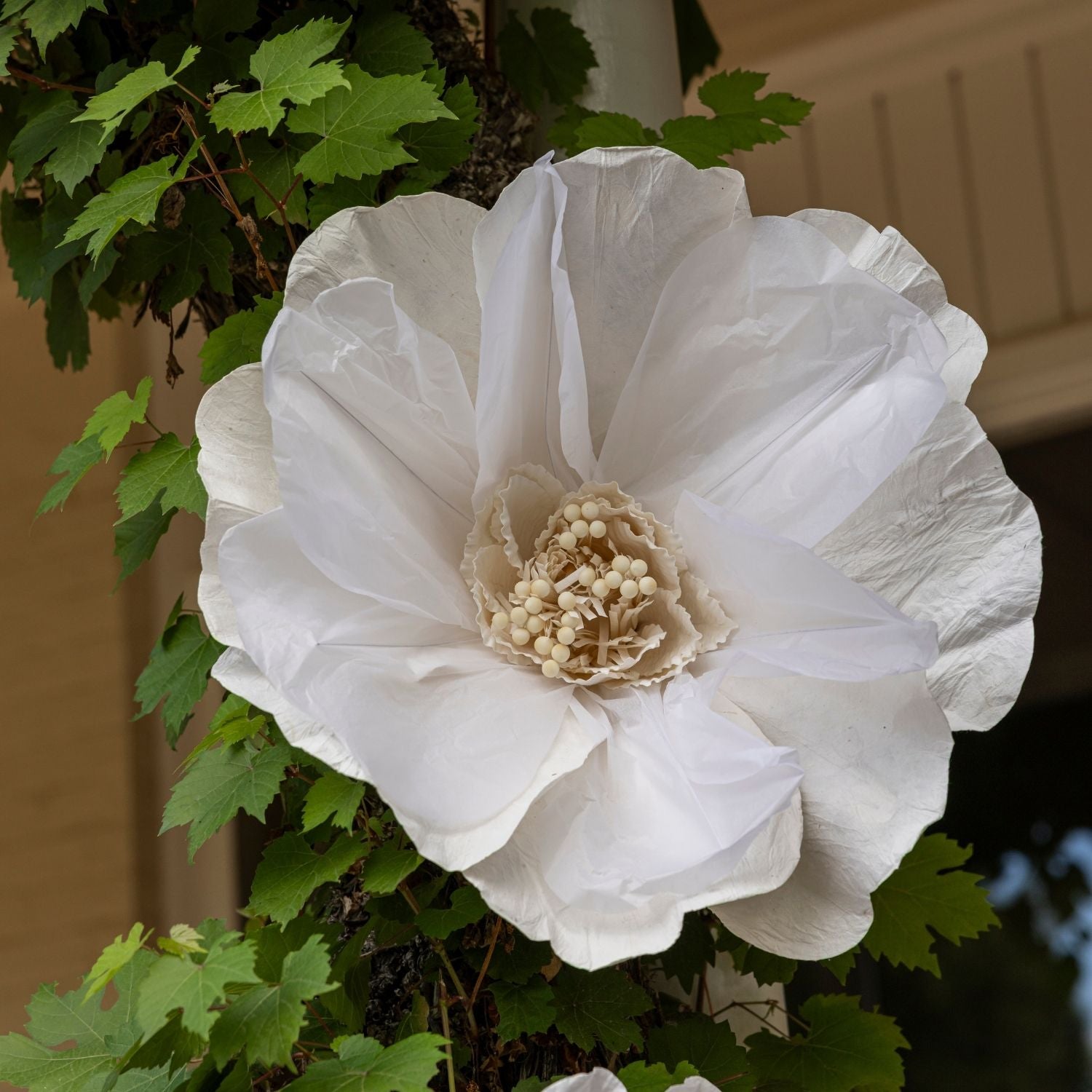 White Poppy Flower - LUXE AND BEAU