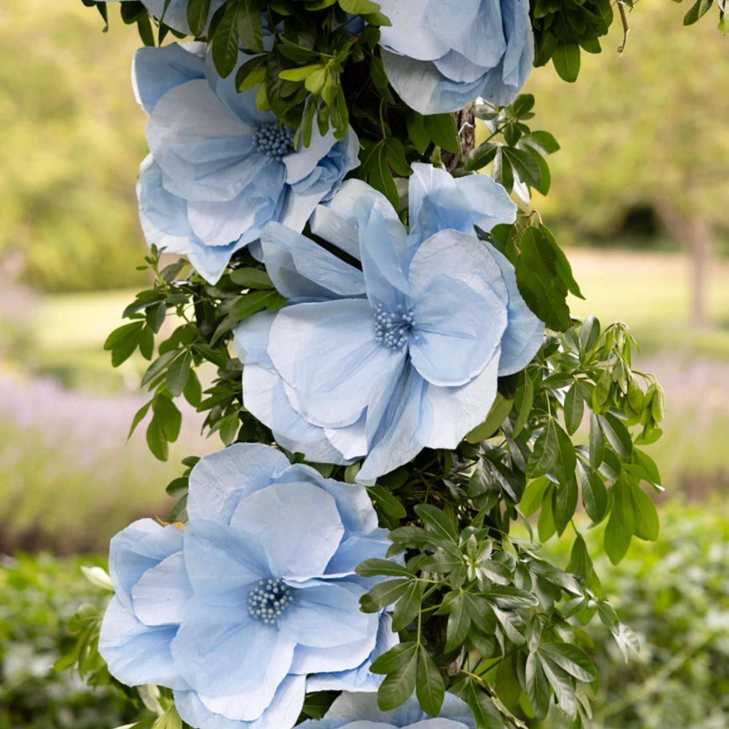 Blue Cosmo Flower - LUXE AND BEAU