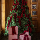 Large Rouge Velvet Bow - LUXE AND BEAU