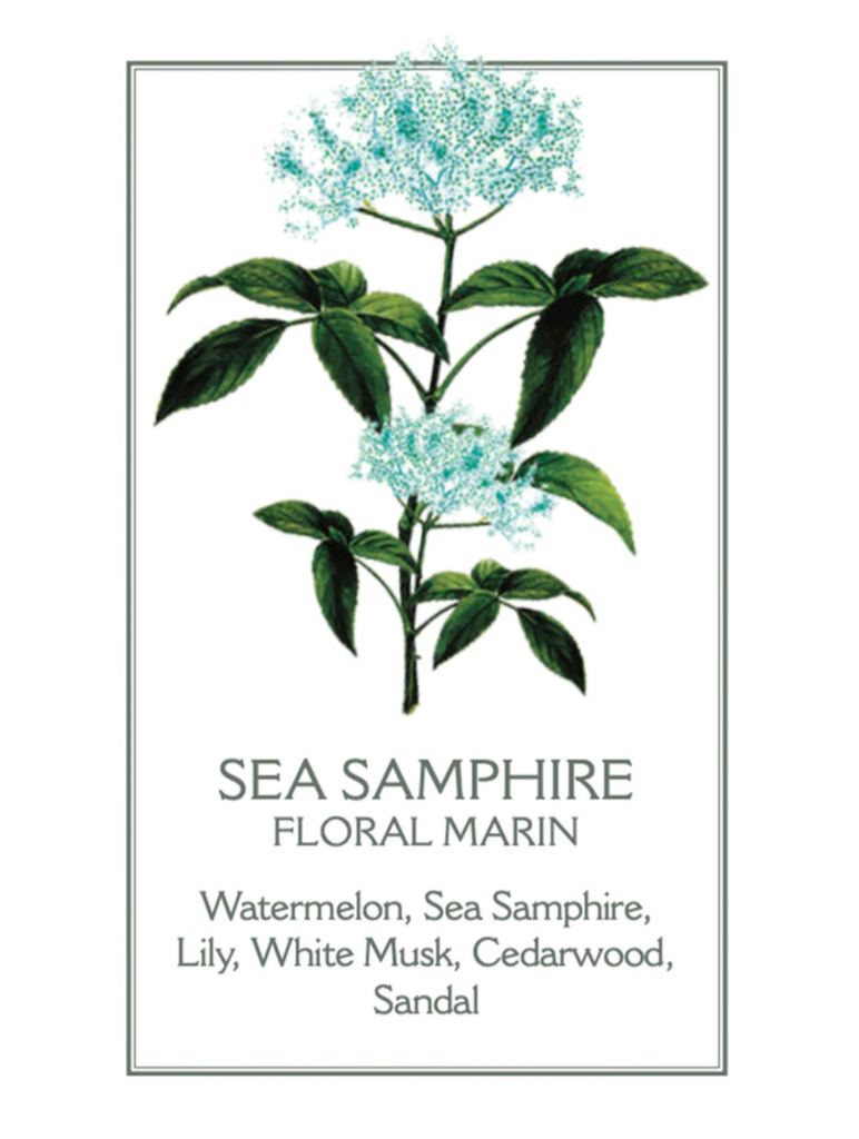 Buy Luxe Cushions & Linens - Panier des Sens Sea Fennel / Sea Samphire Candle - By Luxe & Beau Designs 